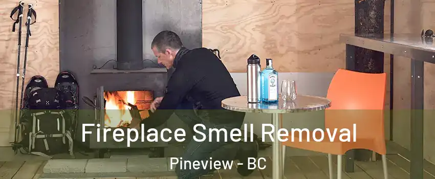  Fireplace Smell Removal Pineview - BC