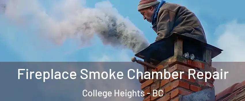  Fireplace Smoke Chamber Repair College Heights - BC