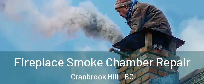  Fireplace Smoke Chamber Repair Cranbrook Hill - BC