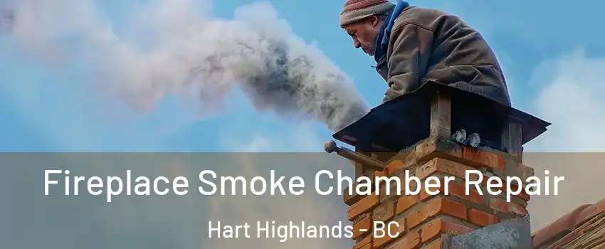  Fireplace Smoke Chamber Repair Hart Highlands - BC