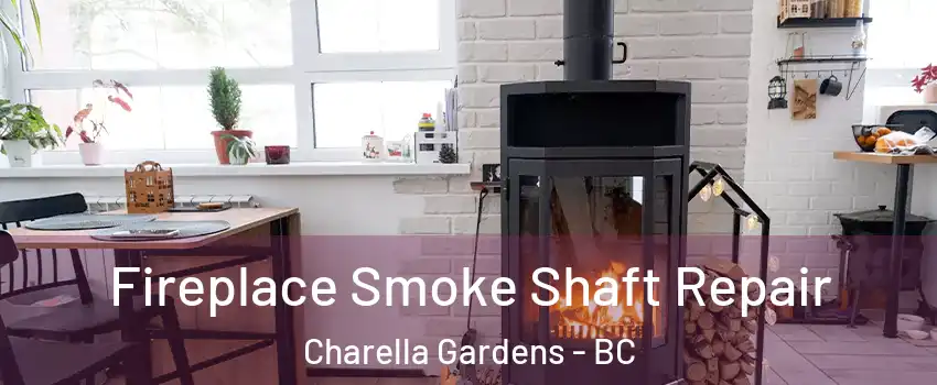  Fireplace Smoke Shaft Repair Charella Gardens - BC