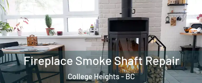  Fireplace Smoke Shaft Repair College Heights - BC