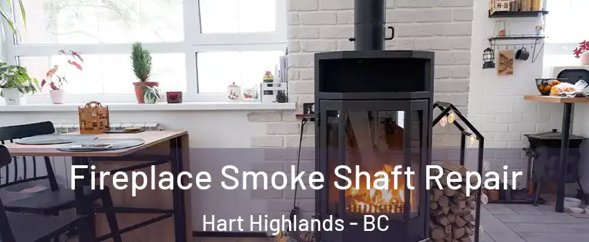  Fireplace Smoke Shaft Repair Hart Highlands - BC