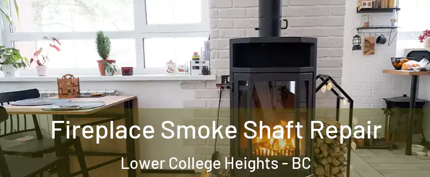  Fireplace Smoke Shaft Repair Lower College Heights - BC