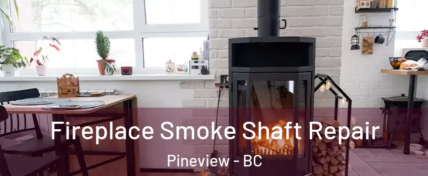  Fireplace Smoke Shaft Repair Pineview - BC