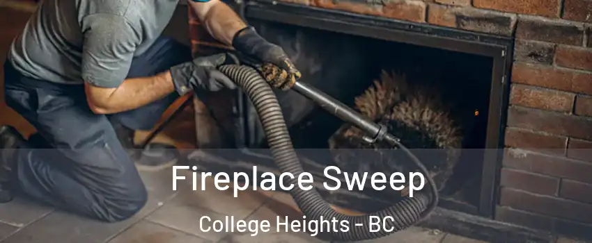  Fireplace Sweep College Heights - BC