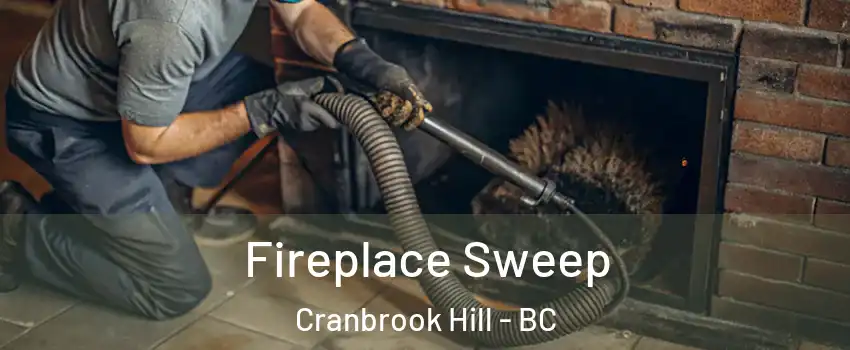  Fireplace Sweep Cranbrook Hill - BC