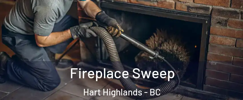  Fireplace Sweep Hart Highlands - BC