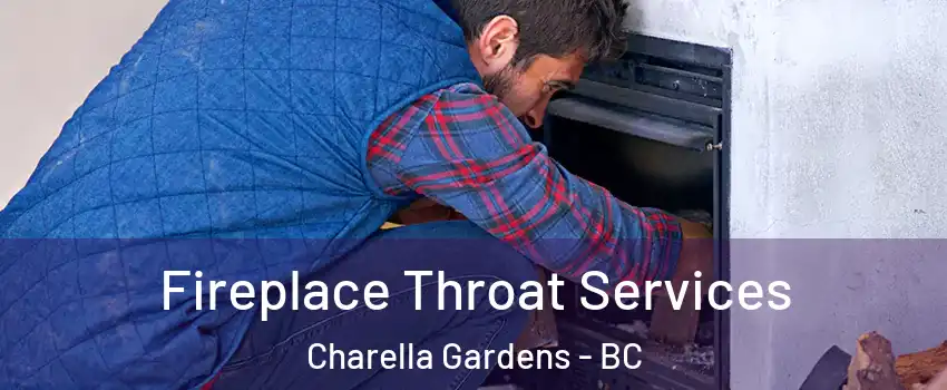  Fireplace Throat Services Charella Gardens - BC