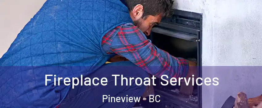  Fireplace Throat Services Pineview - BC