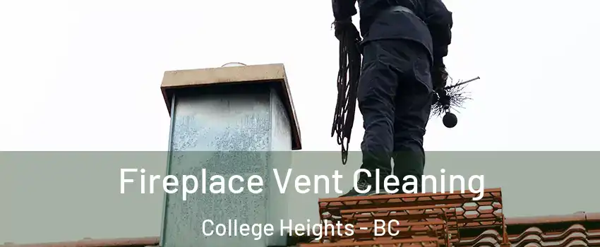  Fireplace Vent Cleaning College Heights - BC