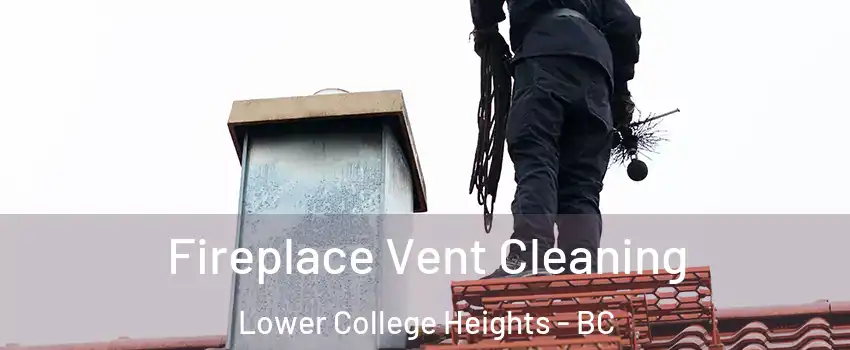  Fireplace Vent Cleaning Lower College Heights - BC