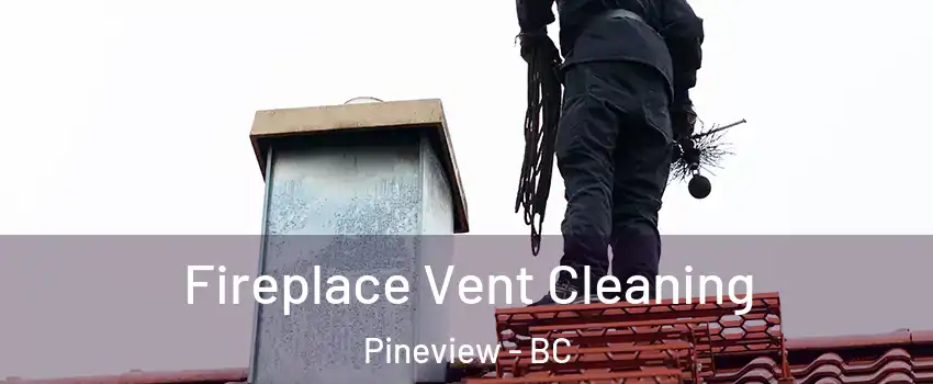  Fireplace Vent Cleaning Pineview - BC