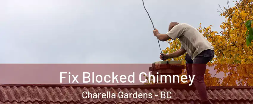  Fix Blocked Chimney Charella Gardens - BC