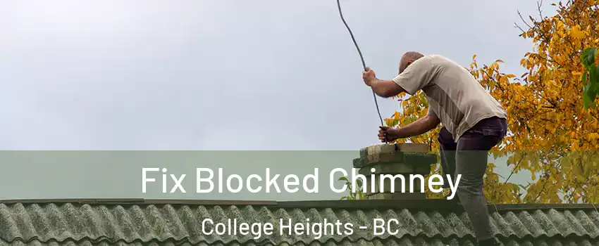  Fix Blocked Chimney College Heights - BC