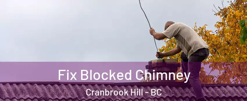  Fix Blocked Chimney Cranbrook Hill - BC