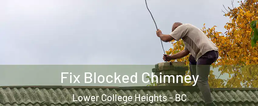  Fix Blocked Chimney Lower College Heights - BC