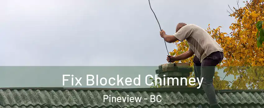  Fix Blocked Chimney Pineview - BC