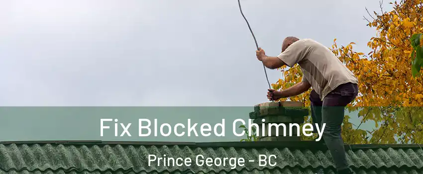  Fix Blocked Chimney Prince George - BC