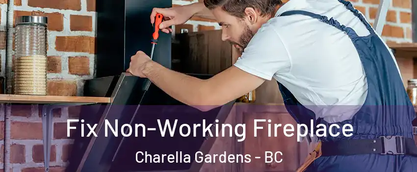  Fix Non-Working Fireplace Charella Gardens - BC