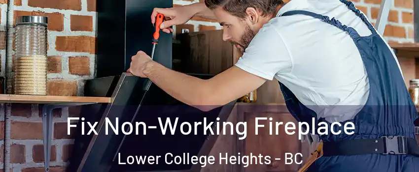  Fix Non-Working Fireplace Lower College Heights - BC