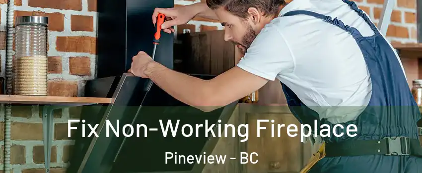  Fix Non-Working Fireplace Pineview - BC