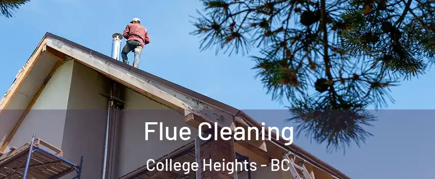  Flue Cleaning College Heights - BC