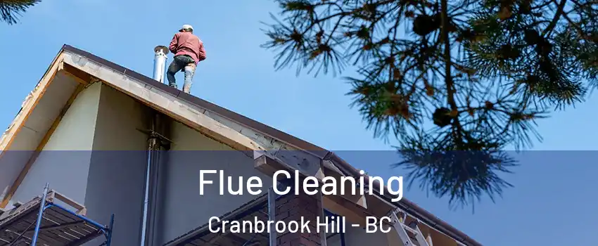  Flue Cleaning Cranbrook Hill - BC