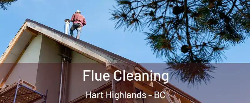  Flue Cleaning Hart Highlands - BC