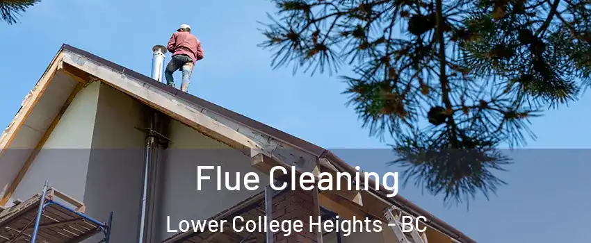  Flue Cleaning Lower College Heights - BC