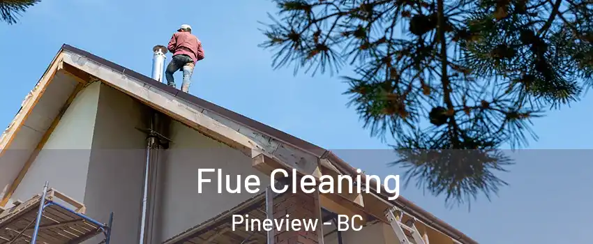  Flue Cleaning Pineview - BC