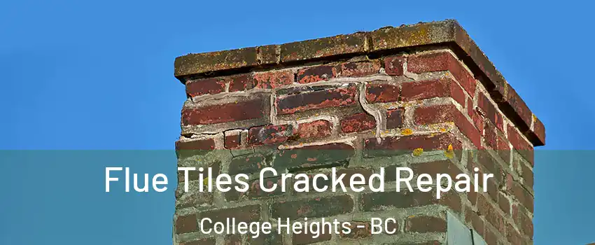  Flue Tiles Cracked Repair College Heights - BC