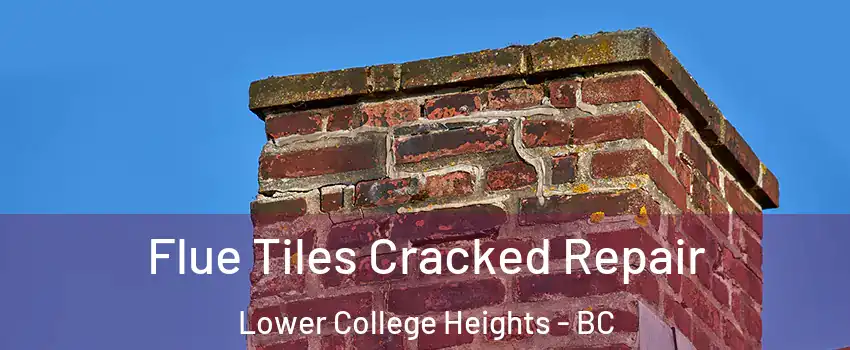  Flue Tiles Cracked Repair Lower College Heights - BC