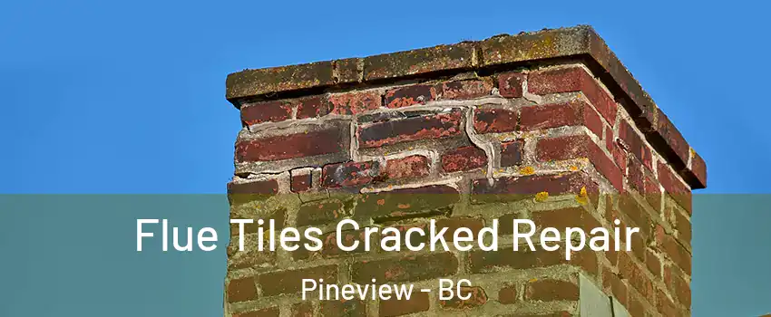  Flue Tiles Cracked Repair Pineview - BC