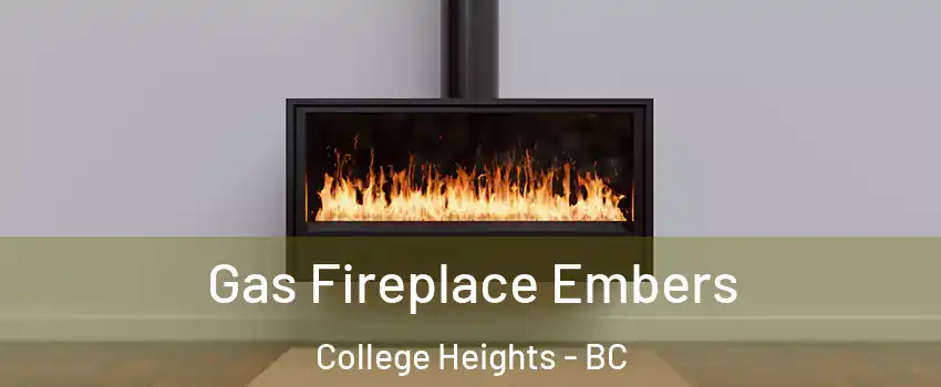  Gas Fireplace Embers College Heights - BC