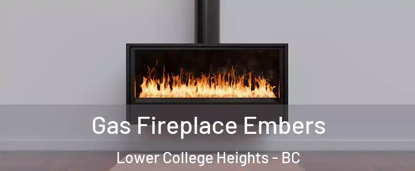  Gas Fireplace Embers Lower College Heights - BC