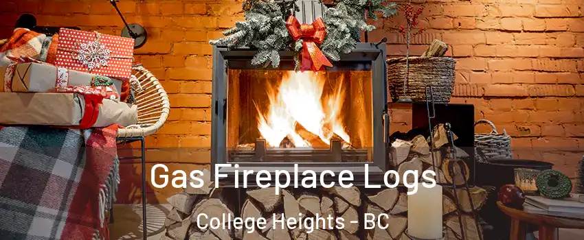  Gas Fireplace Logs College Heights - BC