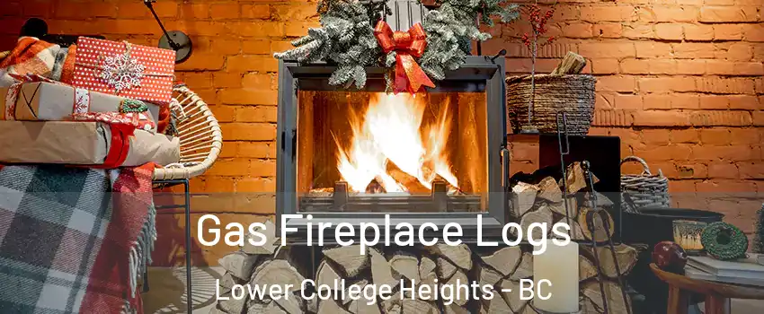  Gas Fireplace Logs Lower College Heights - BC