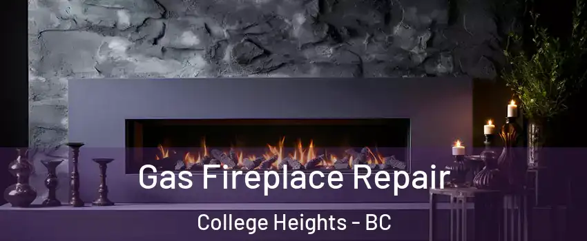  Gas Fireplace Repair College Heights - BC