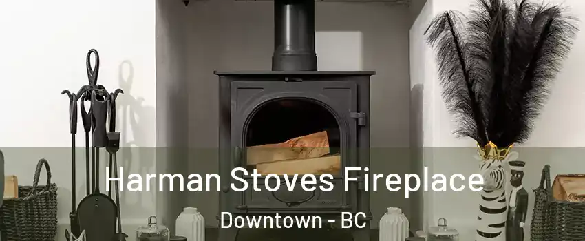  Harman Stoves Fireplace Downtown - BC