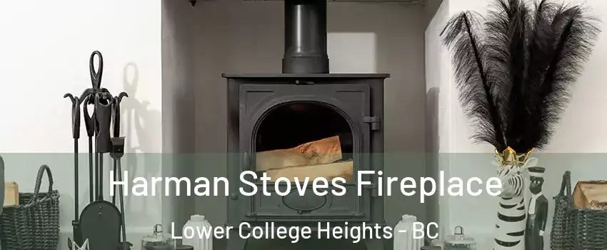  Harman Stoves Fireplace Lower College Heights - BC