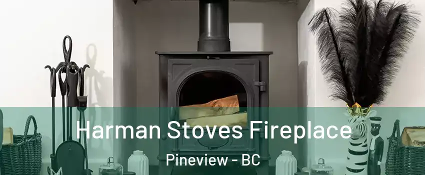  Harman Stoves Fireplace Pineview - BC