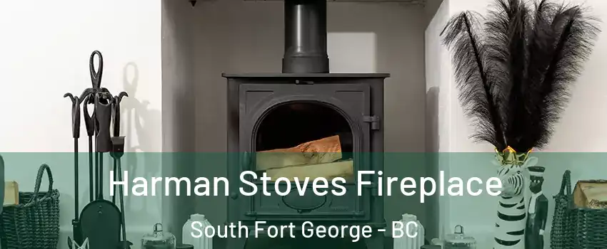  Harman Stoves Fireplace South Fort George - BC