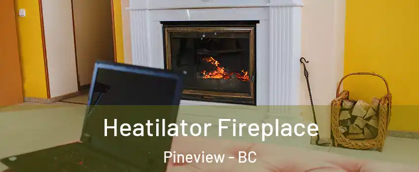  Heatilator Fireplace Pineview - BC