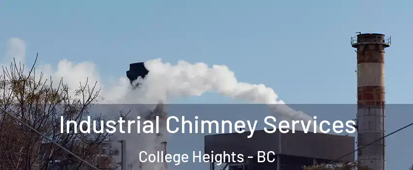  Industrial Chimney Services College Heights - BC