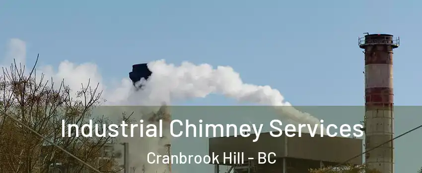  Industrial Chimney Services Cranbrook Hill - BC