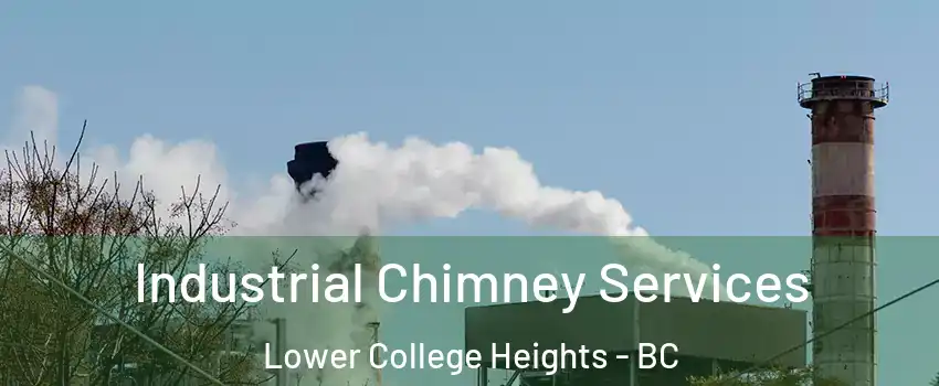  Industrial Chimney Services Lower College Heights - BC