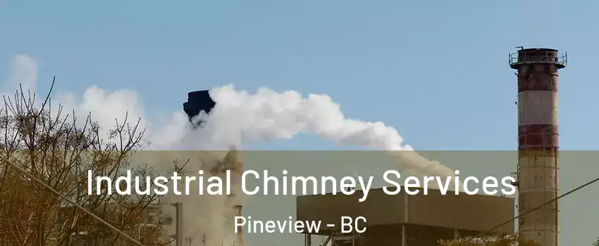  Industrial Chimney Services Pineview - BC