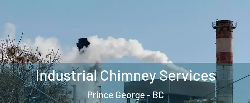  Industrial Chimney Services Prince George - BC