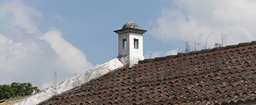 Wind-Resistant Chimney Caps Installation and Repair Services in Prince George, British Columbia